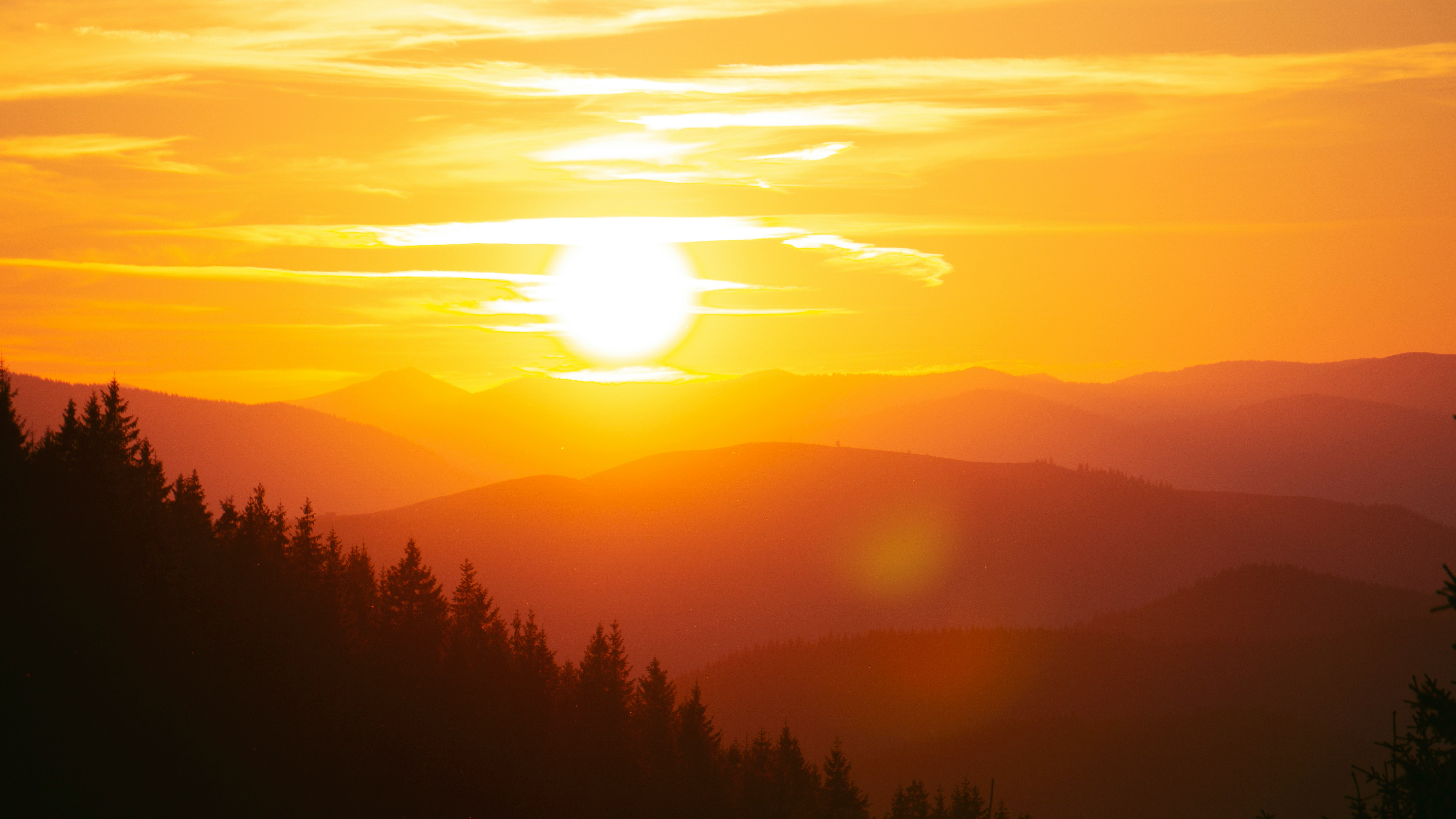 2025 was my year of doing ALL the things - speaking at 5+ conferences, starting a podcast, shipping side projects, and somehow not completely burning out. I learned that momentum creates more momentum, perfectionism is overrated, and seeing people in real life again after years of isolation is actually really, really good.